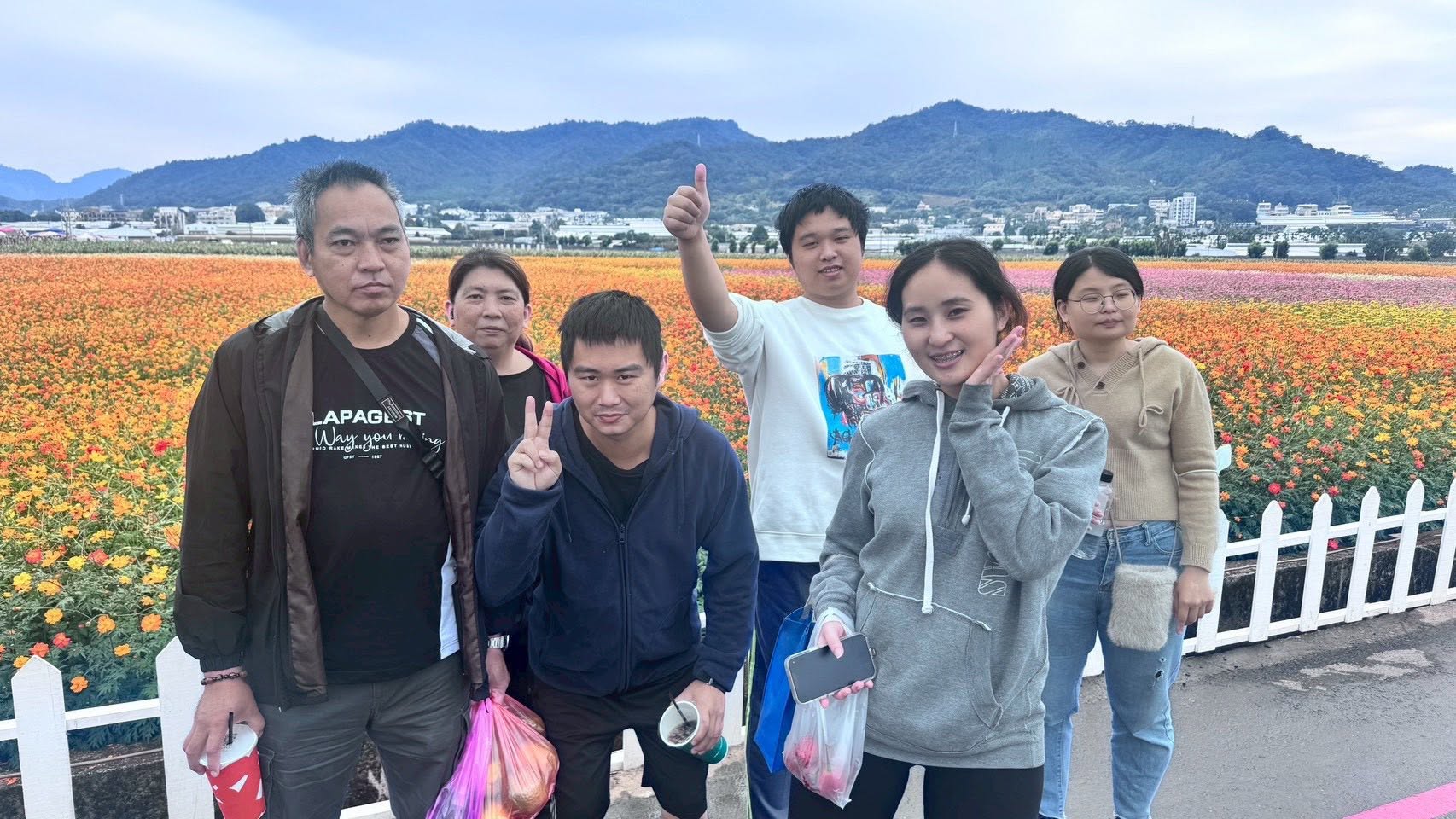2026新社花海小活動封面照片